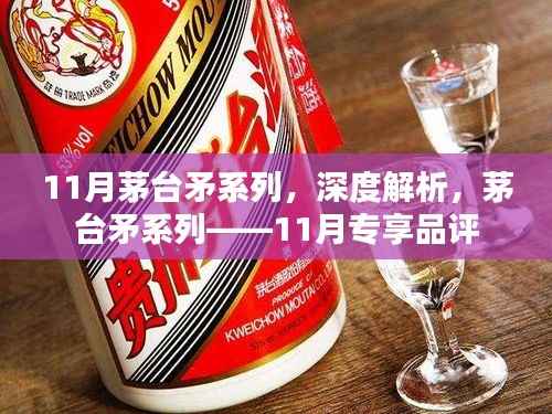 茅台矛系列深度解析,11月专享品鉴之道