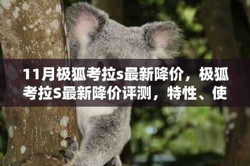 极狐考拉S最新降价解析，特性、用户体验与目标用户分析