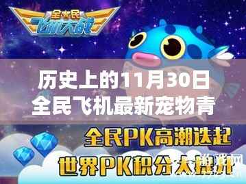 深度解析与观点阐述,全民飞机新宠青龙——历史上的11月30日独家揭秘