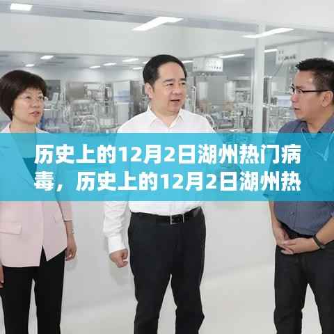 历史上的12月2日湖州热门病毒,历史上的12月2日湖州热门病毒,多维度视角下的探讨与观点阐述