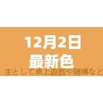 12月2日最新色子，揭秘十二月最新色子，引领潮流的幸运之骰