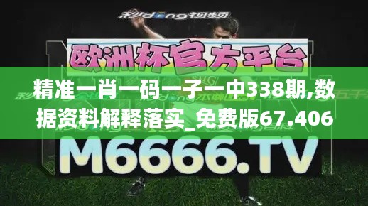 精准一肖一码一子一中338期,数据资料解释落实_免费版67.406-3