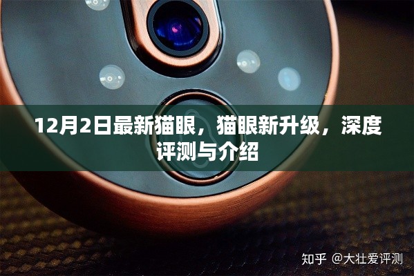 猫眼新升级深度评测与介绍,最新功能解析及使用体验