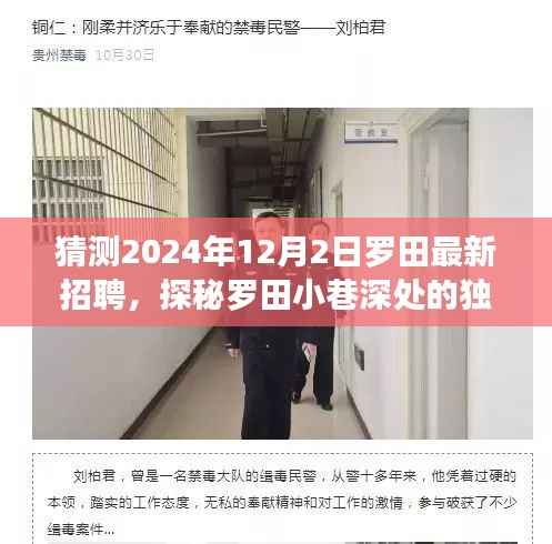 探秘罗田小巷深处的独特小店，揭秘最新招聘动态与未来展望（罗田招聘预测）