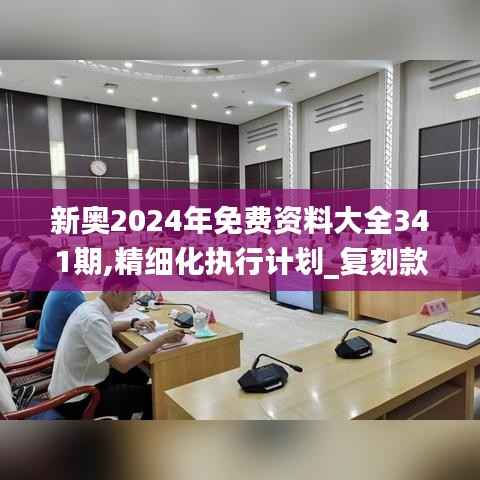 新奥2024年免费资料大全341期,精细化执行计划_复刻款8.649