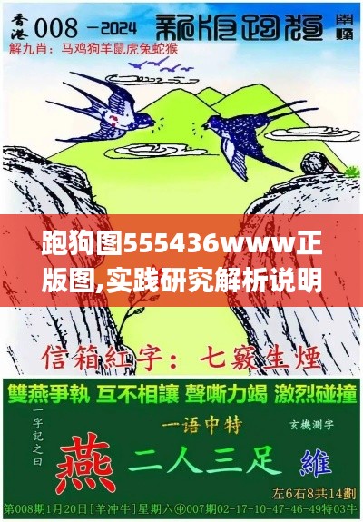 跑狗图555436www正版图,实践研究解析说明_Galaxy5.571