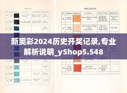 新奥彩2024历史开奖记录,专业解析说明_yShop5.548
