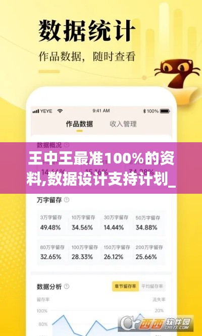 王中王最准100%的资料,数据设计支持计划_潮流版2.643