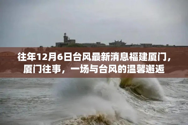 福建厦门台风最新动态，与台风的温馨邂逅回忆往昔风雨时光