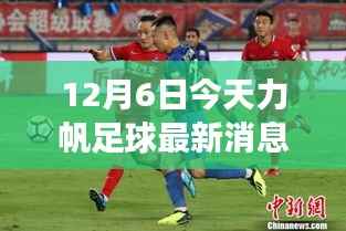 力帆足球队变革新动向，最新观察分析（12月6日）