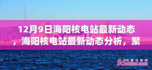 12月9日海阳核电站最新动态解析,进展与各方观点聚焦