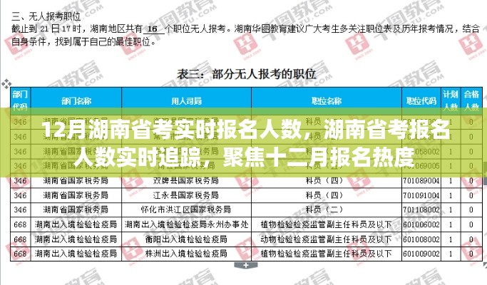 湖南省考报名人数实时追踪,聚焦十二月报名热度