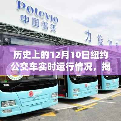 揭秘历史上的纽约公交实时运行，12月10日公交车实时运行情况及详细体验指南