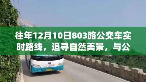 追寻自然美景,与公交803路公交车共舞的心灵之旅,往年路线回顾