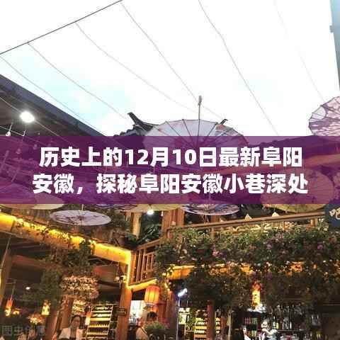 探秘安徽阜阳小巷深处的独特风味,历史特色小店奇遇记