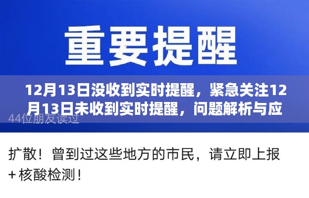 12月13日未收到实时提醒问题解析与应对攻略