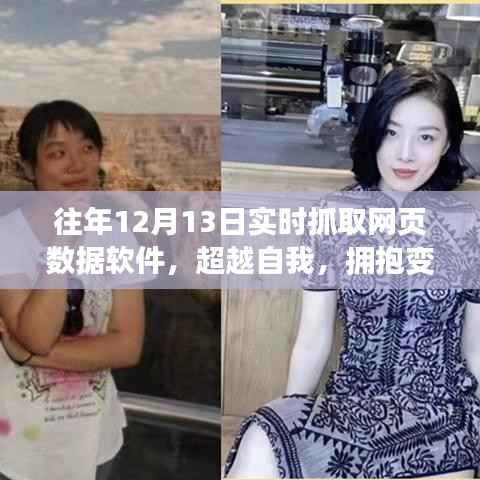 成功案例 第314页