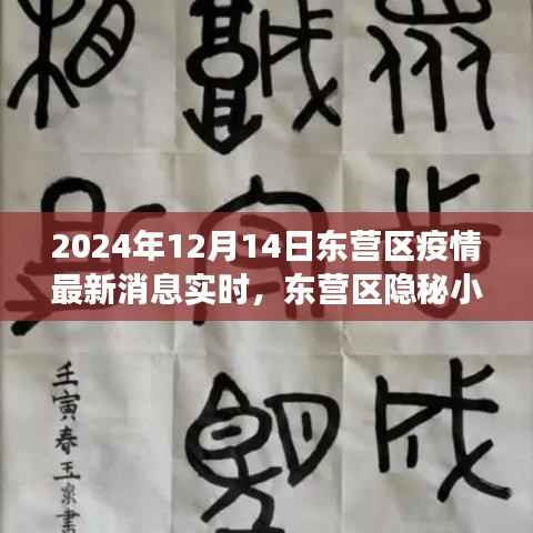 东营区隐秘小巷中的抗疫风云与独特风味探秘(实时更新)