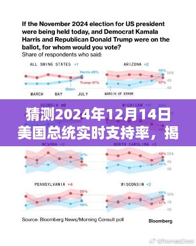 揭秘猜测,分析预测2024年12月14日美国总统实时支持率走势及预测分析