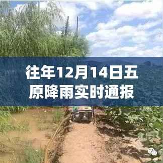 风雨洗礼下的五原成长历程，历年十二月十四日降雨背后的励志故事