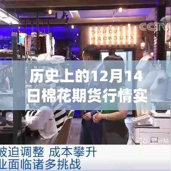 历史上的12月14日棉花期货行情深度解析,实时走势分析与解读指南(初学者与进阶用户必备参考)