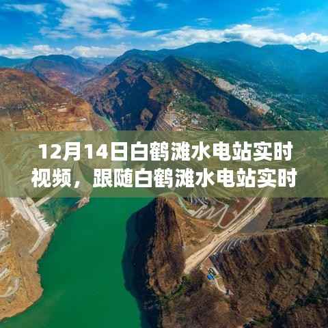 奔走如飞 第3页