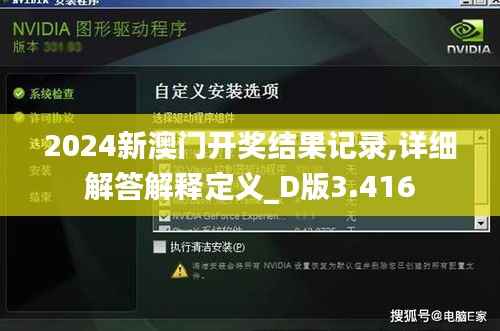 2024新澳门开奖结果记录,详细解答解释定义_D版3.416