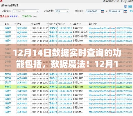 12月14日数据实时查询之旅,魔法般的体验与爱的连接