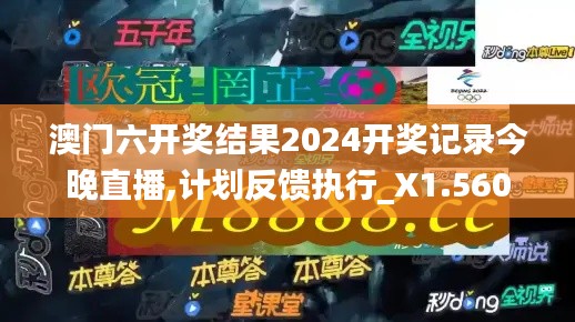 澳门六开奖结果2024开奖记录今晚直播,计划反馈执行_X1.560