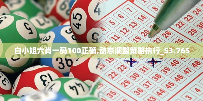 白小姐六肖一码100正确,动态调整策略执行_S3.765