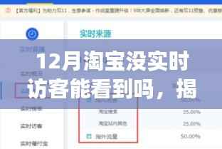 揭秘淘宝十二月,无实时访客,你的店铺还能洞察哪些玄机?