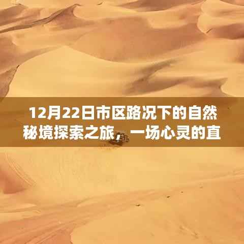 成功案例 第266页