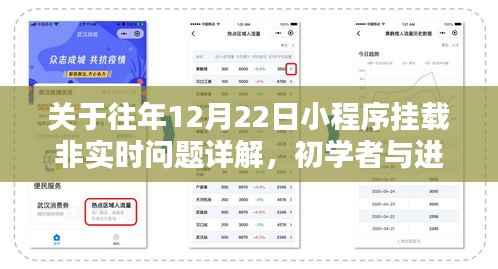 往年12月22日小程序挂载非实时问题解析,从初学者到进阶用户的指南