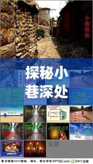 成功案例 第262页