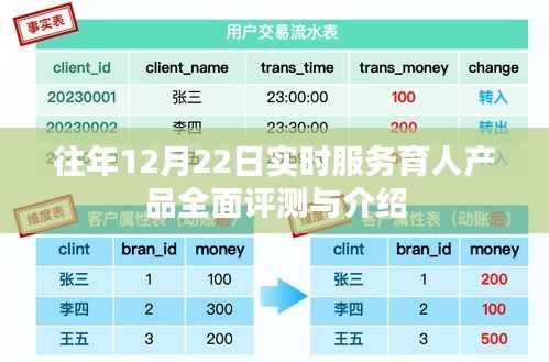 往年12月22日实时服务育人产品全面评测与详解