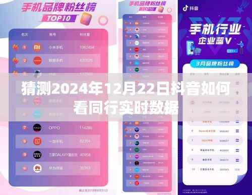 公司概况 第263页