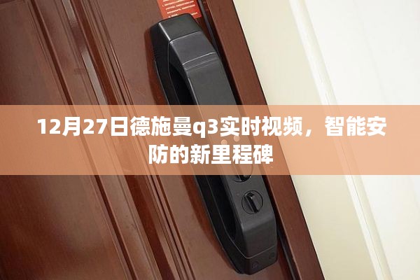 德施曼Q3实时视频,智能安防新标杆