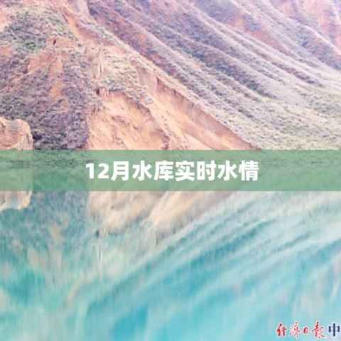 水库实时水情报告，最新数据尽在掌握