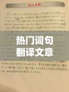 热门词句翻译文章概览