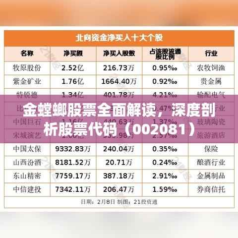 金螳螂股票全面解读,深度剖析股票代码(002081)