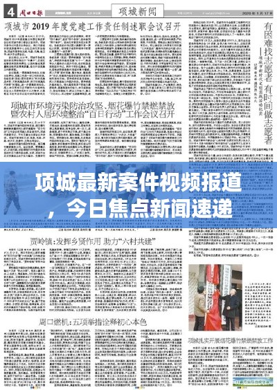 项城最新案件视频报道,今日焦点新闻速递