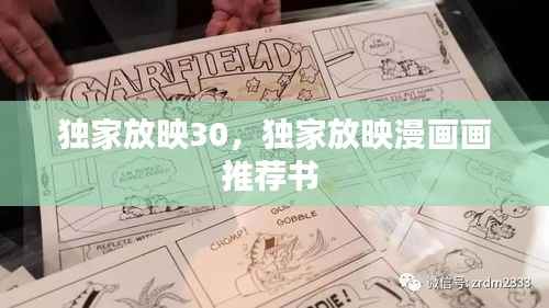 独家放映30,独家放映漫画画推荐书