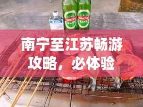 南宁至江苏畅游攻略,必体验景点与美食推荐!