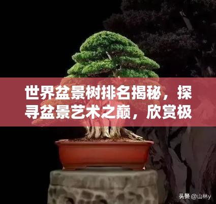 世界盆景树排名揭秘,探寻盆景艺术之巅,欣赏极致之美