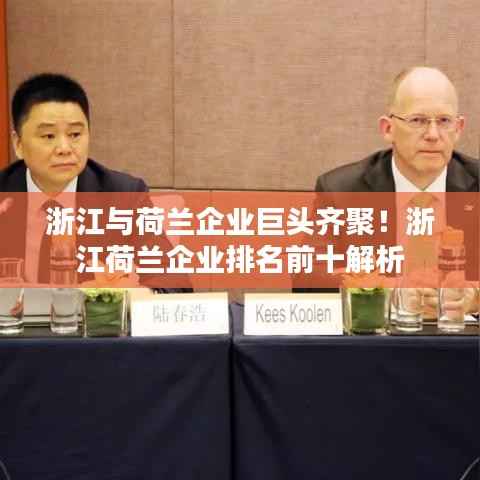 浙江与荷兰企业巨头齐聚!浙江荷兰企业排名前十解析