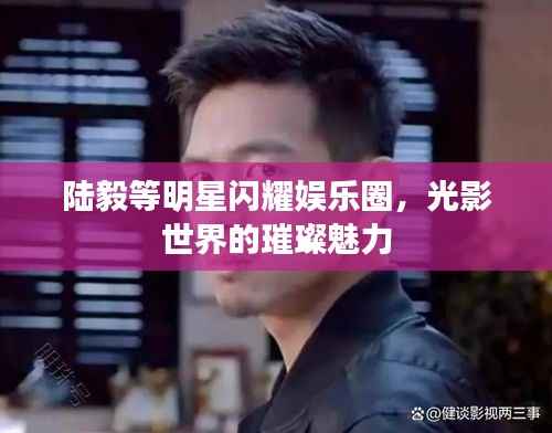陆毅等明星闪耀娱乐圈,光影世界的璀璨魅力