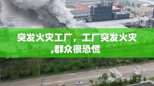 突发火灾工厂,工厂突发火灾,群众很恐慌