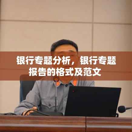 银行专题分析,银行专题报告的格式及范文