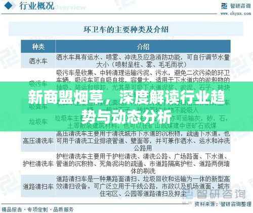 新商盟烟草,深度解读行业趋势与动态分析