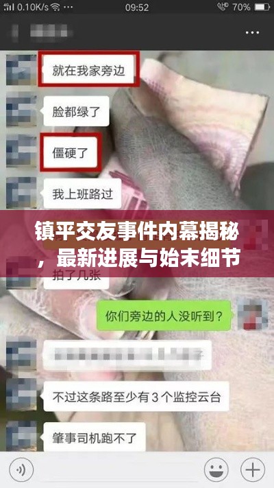 镇平交友事件内幕揭秘,最新进展与始末细节曝光